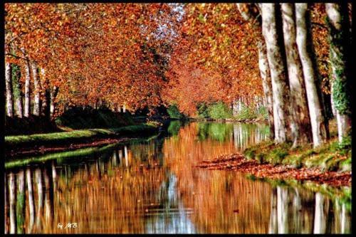 Casa Du Bassin Bed & Breakfast Castelnaudary Bagian luar foto